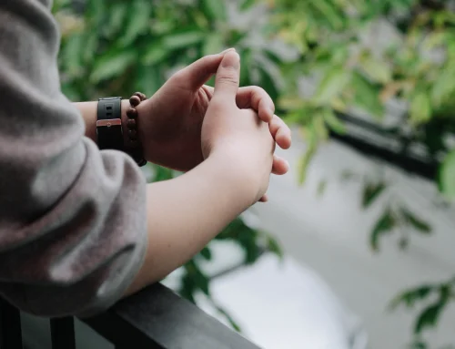 What is a Family Provision Application and how does it work in Queensland?